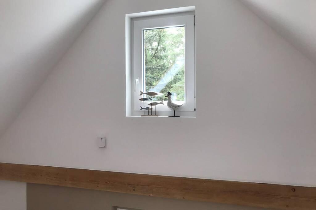Ferienhaus Im Igelbau Baabe Luaran gambar